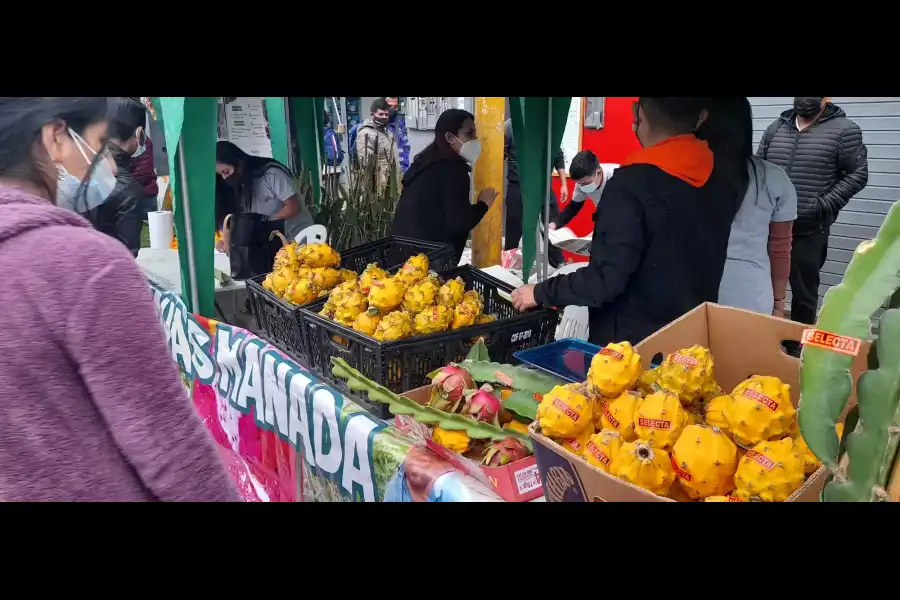 Imagen Feria Turística Y Productiva De La Pitahaya - Imagen 4