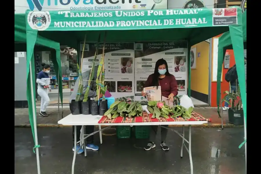 Imagen Feria Turística Y Productiva De La Pitahaya - Imagen 6