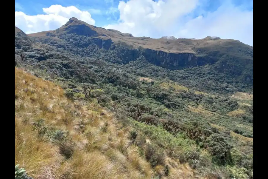 Imagen Cerro Pico De Loro - Imagen 4