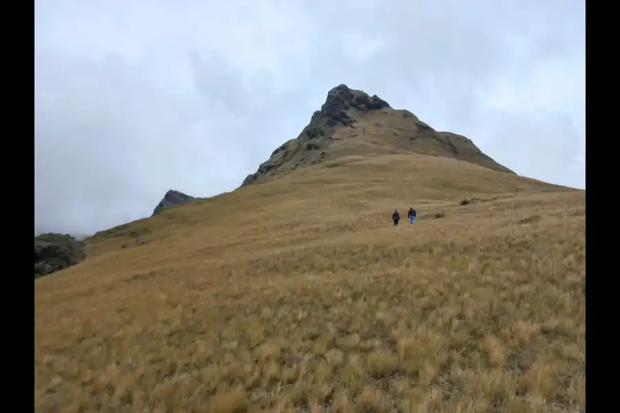 Imagen Cerro Pico De Loro - Imagen 5