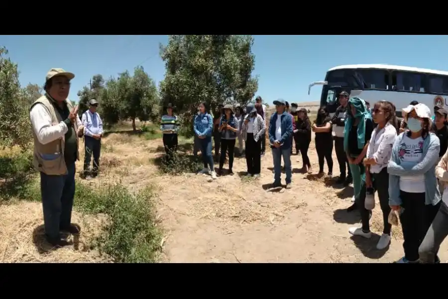 Imagen Agro Industrias Unidas Del Perú - Imagen 3