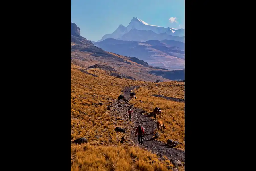 Imagen Reserva Paisajística Nor Yauyos - Cochas - Imagen 18