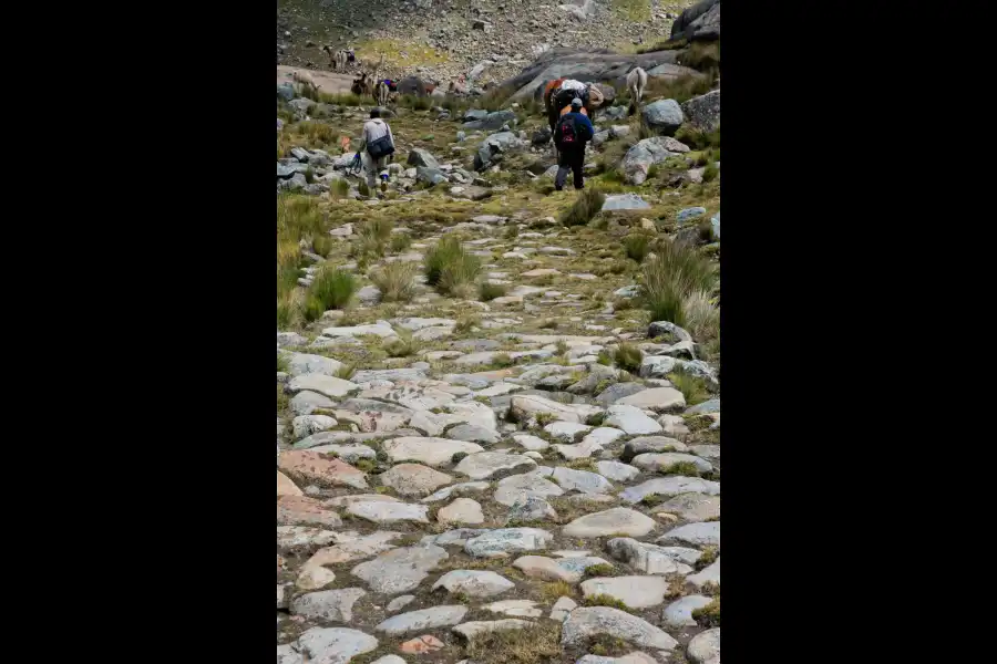 Imagen Reserva Paisajística Nor Yauyos - Cochas - Imagen 19