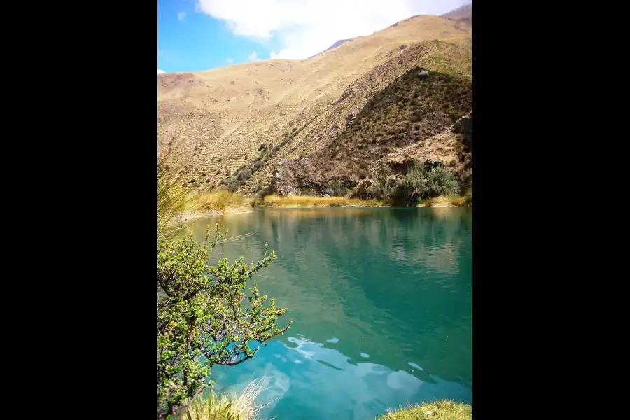 Imagen Reserva Paisajística Nor Yauyos - Cochas - Imagen 6