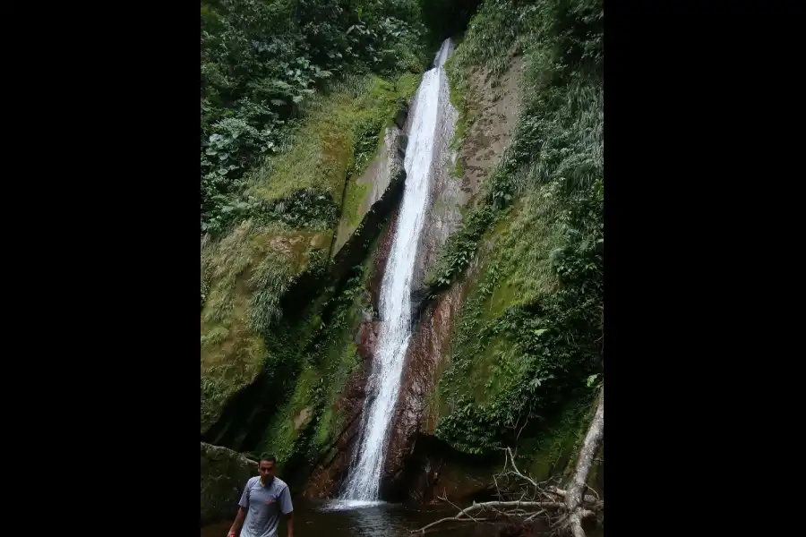 Imagen Cascadas De Tamushal - Alto Shilcayo - Imagen 3