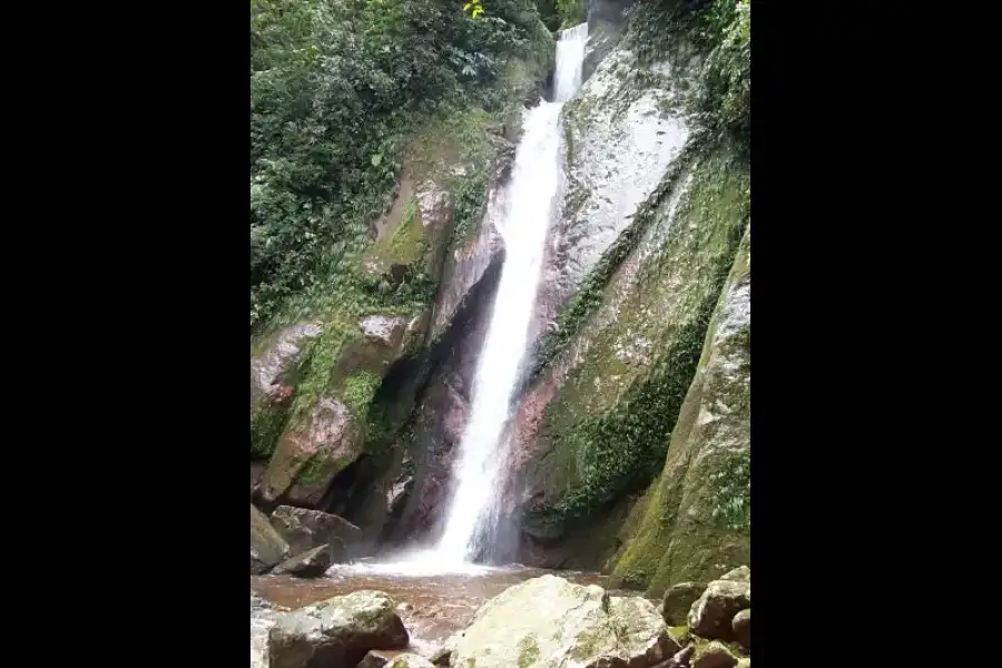 Imagen Cascadas De Tamushal - Alto Shilcayo - Imagen 4