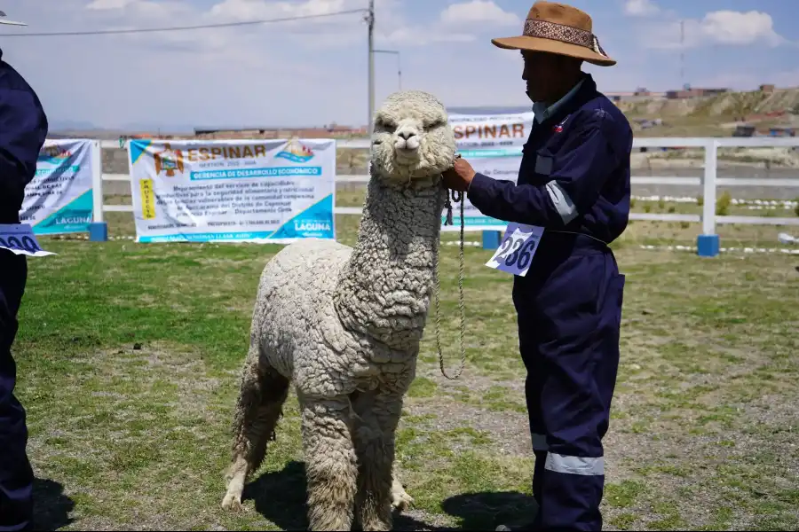 Imagen Aniversario Provincial De Espinar - Imagen 9