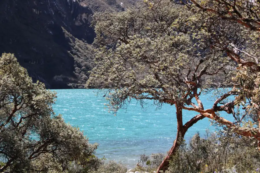 Imagen Laguna Chinancocha - Llanganuco - Imagen 7