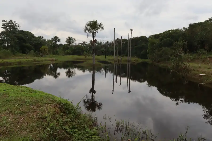 Imagen El Aguajal Laguna El Doreo - Imagen 1