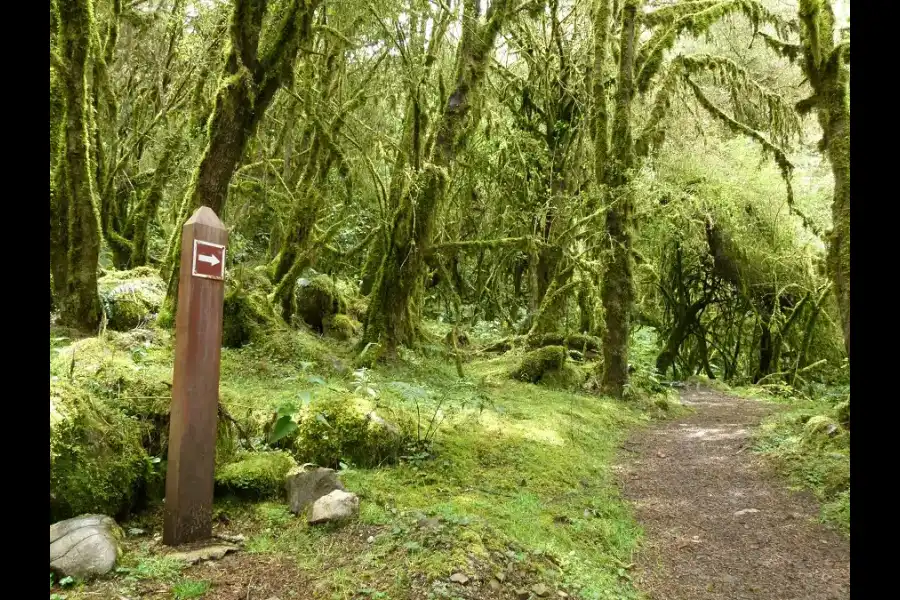 Imagen Santuario Nacional De Ampay - Imagen 1