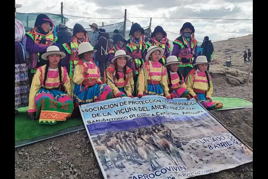 Imagen Festival Del Chaku De Vicuñas - Imagen 6