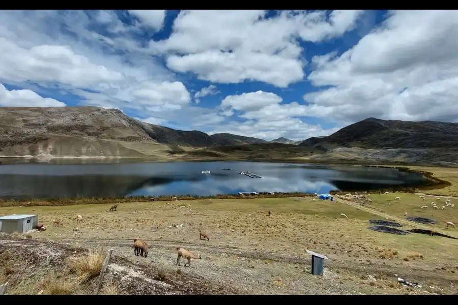 Imagen Laguna Lulicocha - Imagen 1