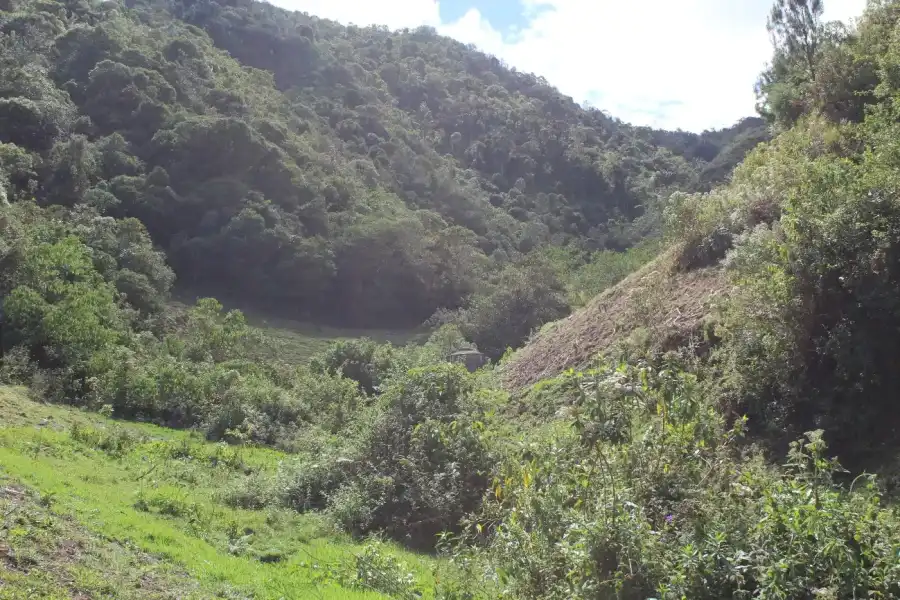 Imagen Bosque De Protección De Pagaibamba - Imagen 4