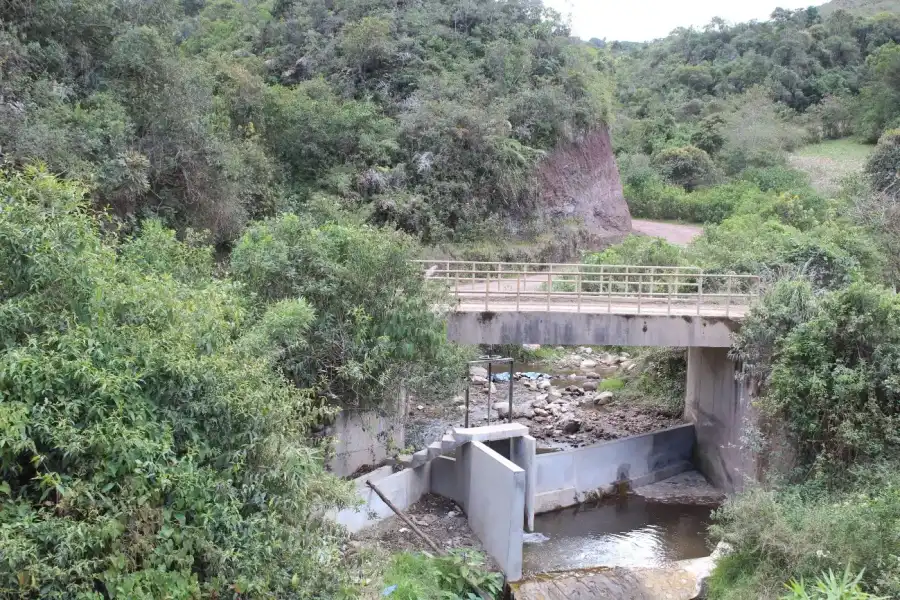 Imagen Bosque De Protección De Pagaibamba - Imagen 5