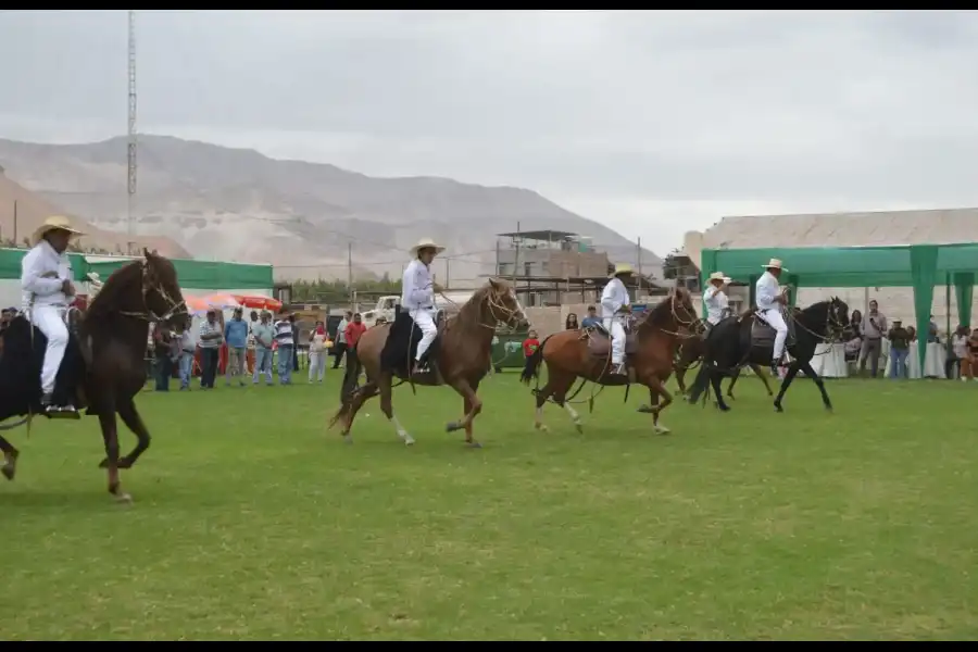 Imagen Festival De La Vendimia - Castilla - Imagen 8