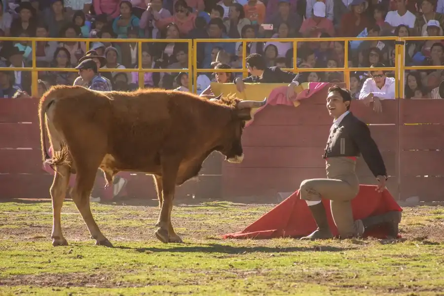 Imagen Tradicional Corrida De Toros De Huanta Por Aniversario Patrio - Imagen 7