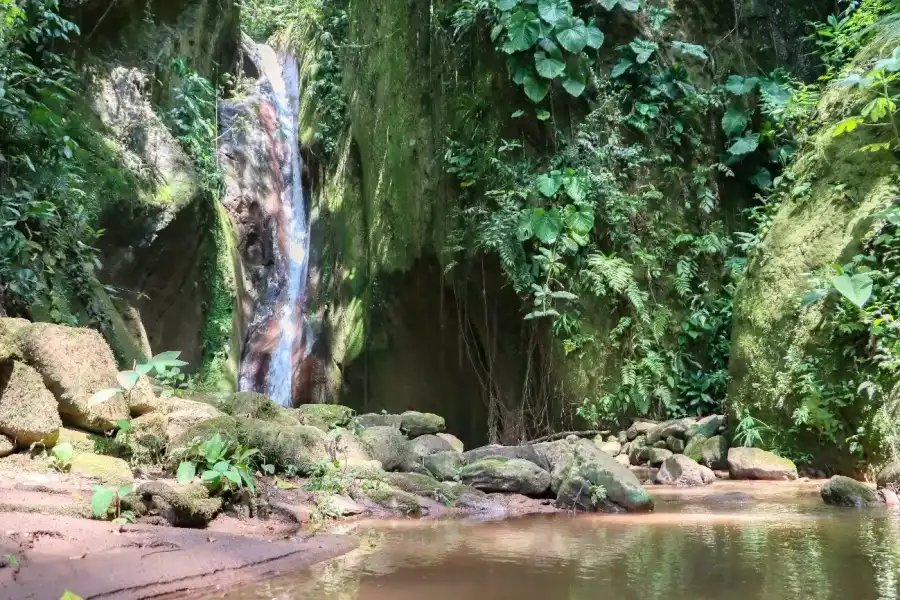 Imagen Catarata Arco Iris De Mazamari - Imagen 3