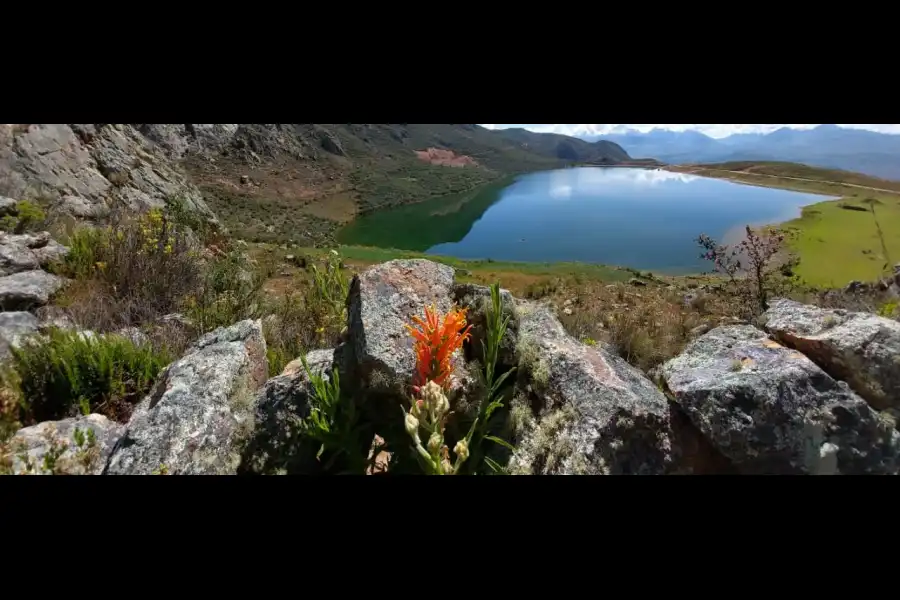 Imagen Laguna Antacocha - Recuay - Imagen 6