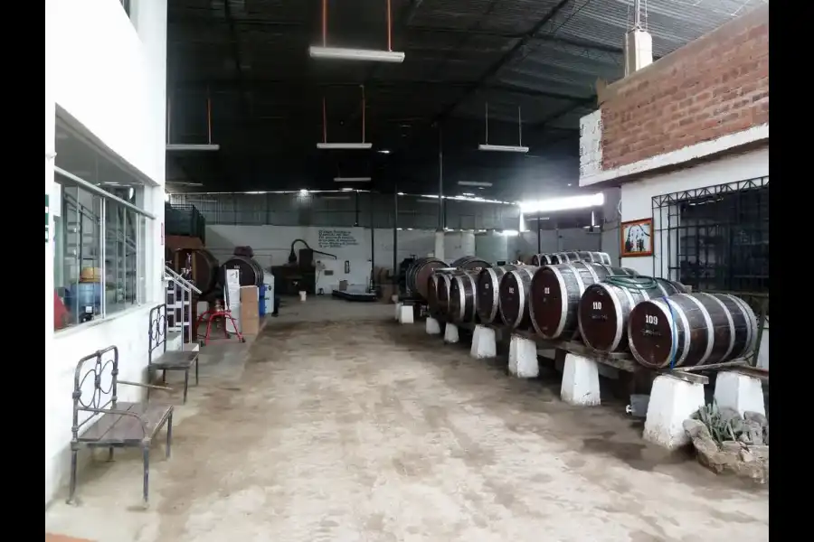 Imagen Bodega Grimaldi - Imagen 1