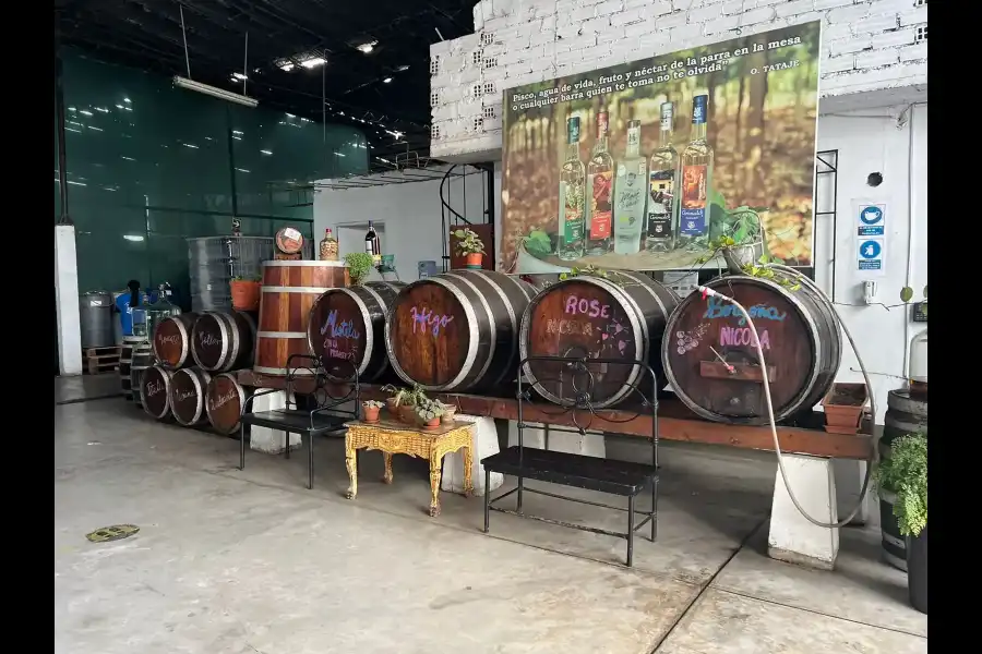 Imagen Bodega Grimaldi - Imagen 3