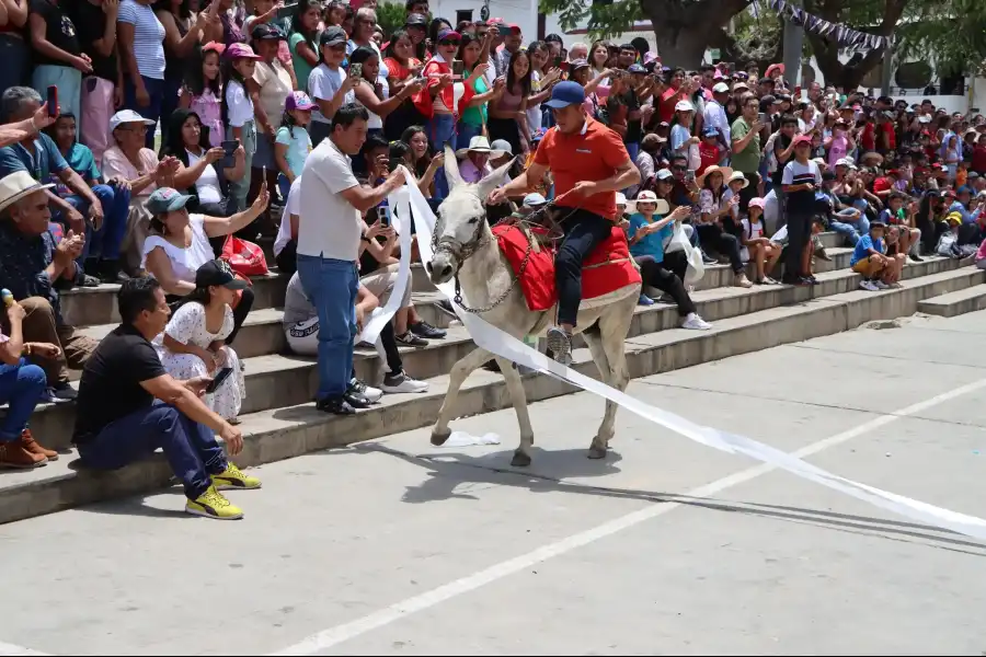 Imagen Fiesta Patronal Virgen Del Rosario De Chiquinquirá - Imagen 6