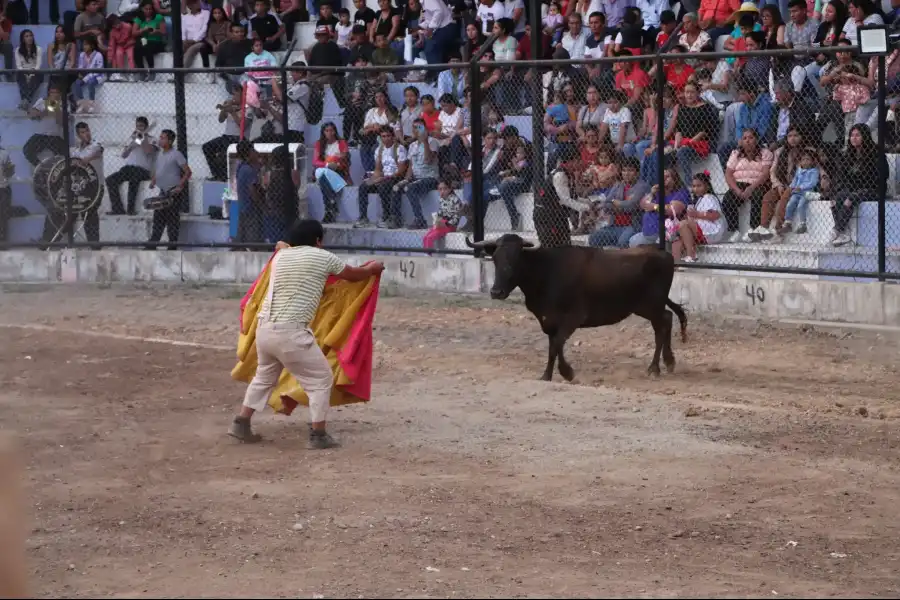 Imagen Fiesta Patronal Virgen Del Rosario De Chiquinquirá - Imagen 7