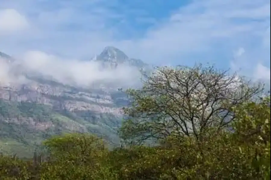 Imagen Área De Conservación Privada Chaparrí - Imagen 1