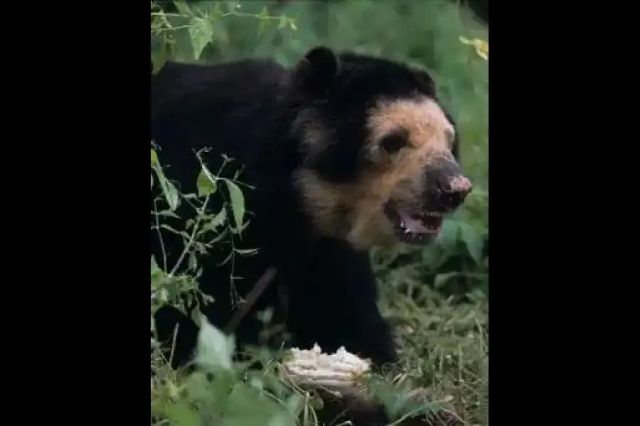 Imagen Área De Conservación Privada Chaparrí - Imagen 3