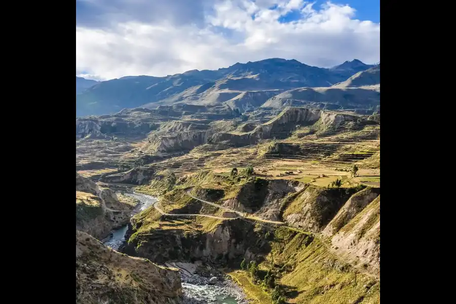 Imagen Valle Del Colca - Imagen 6