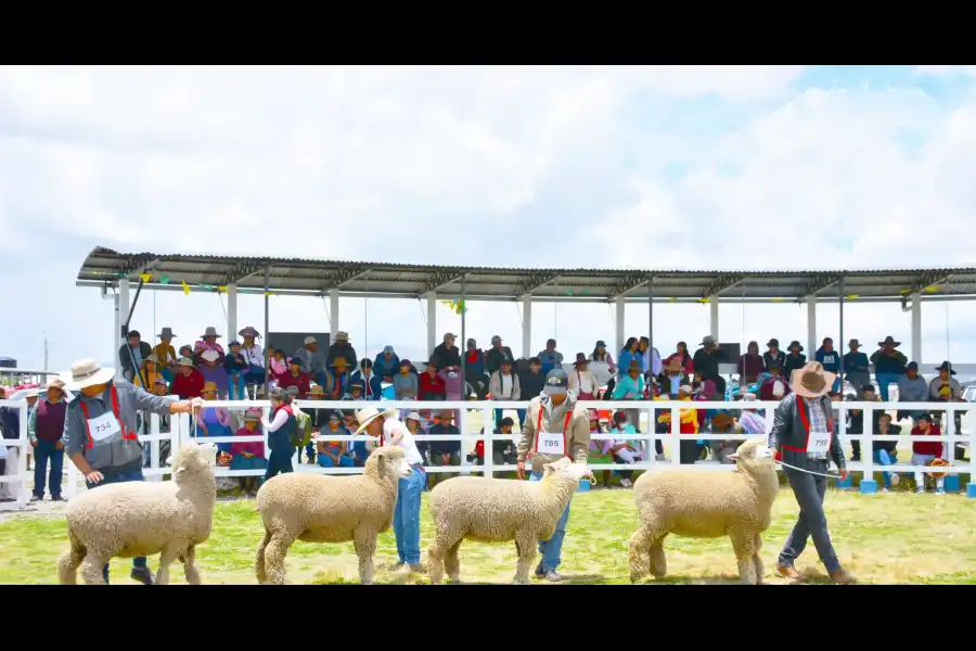 Imagen Expo Feria Reyes Espinar - Imagen 8