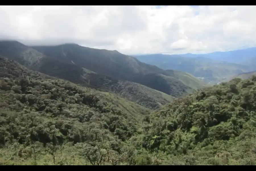 Imagen El Área De Conservación Privada “Bosques Montanos Y Páramos De Huaricancha” - Imagen 1