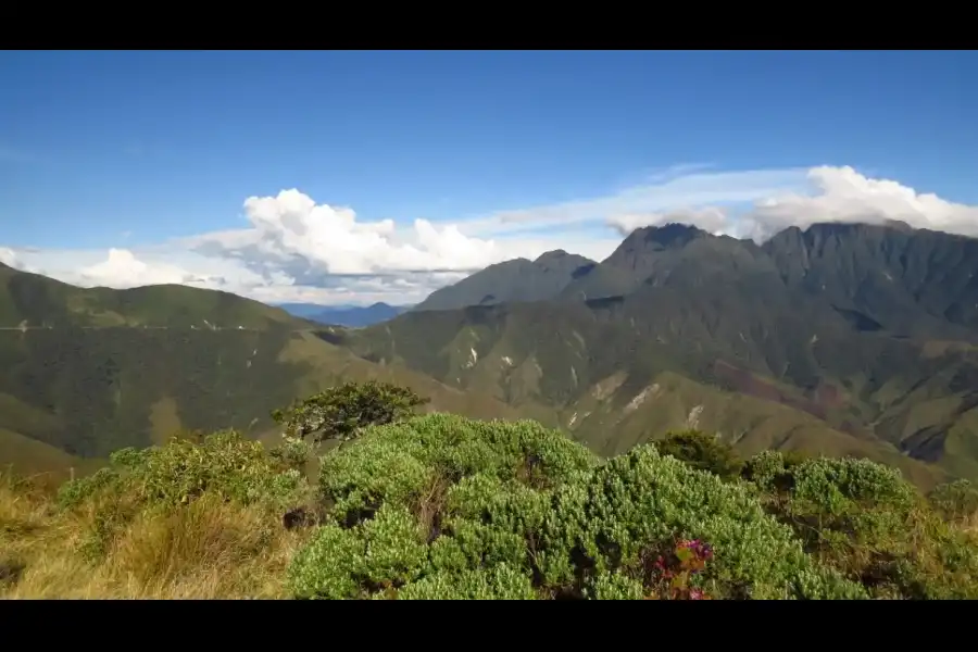 Imagen El Área De Conservación Privada “Bosques Montanos Y Páramos De Huaricancha” - Imagen 3