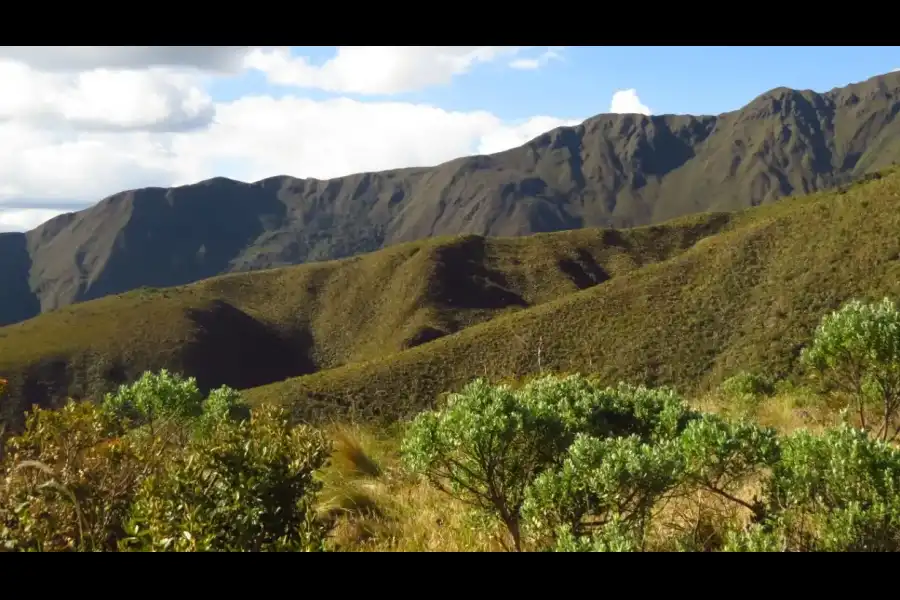 Imagen El Área De Conservación Privada “Bosques Montanos Y Páramos De Huaricancha” - Imagen 4