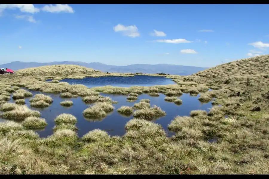 Imagen El Área De Conservación Privada “Bosques Montanos Y Páramos De Huaricancha” - Imagen 5