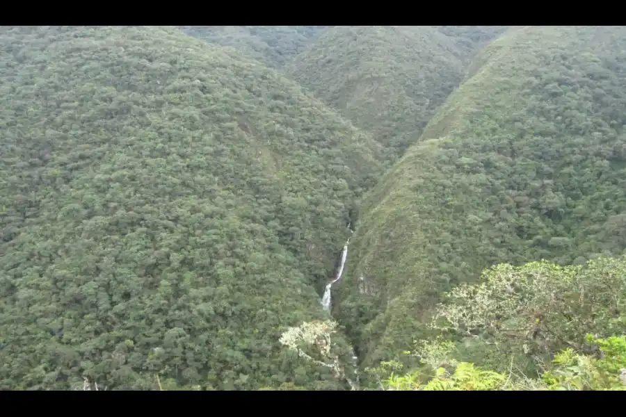 Imagen El Área De Conservación Privada “Bosques Montanos Y Páramos De Huaricancha” - Imagen 6