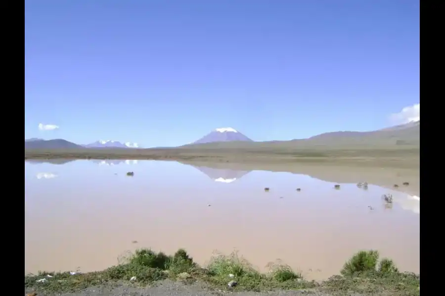 Imagen Reserva Nacional De Salinas Y Aguada Blanca - Imagen 3