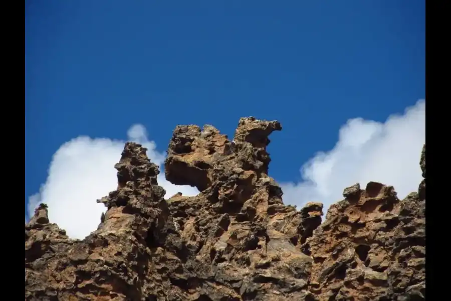 Imagen Reserva Nacional De Salinas Y Aguada Blanca - Imagen 6