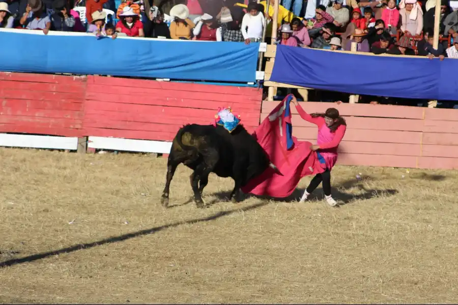 Imagen Fiesta Tradicional En Honor Al Padre San Roque - Imagen 19