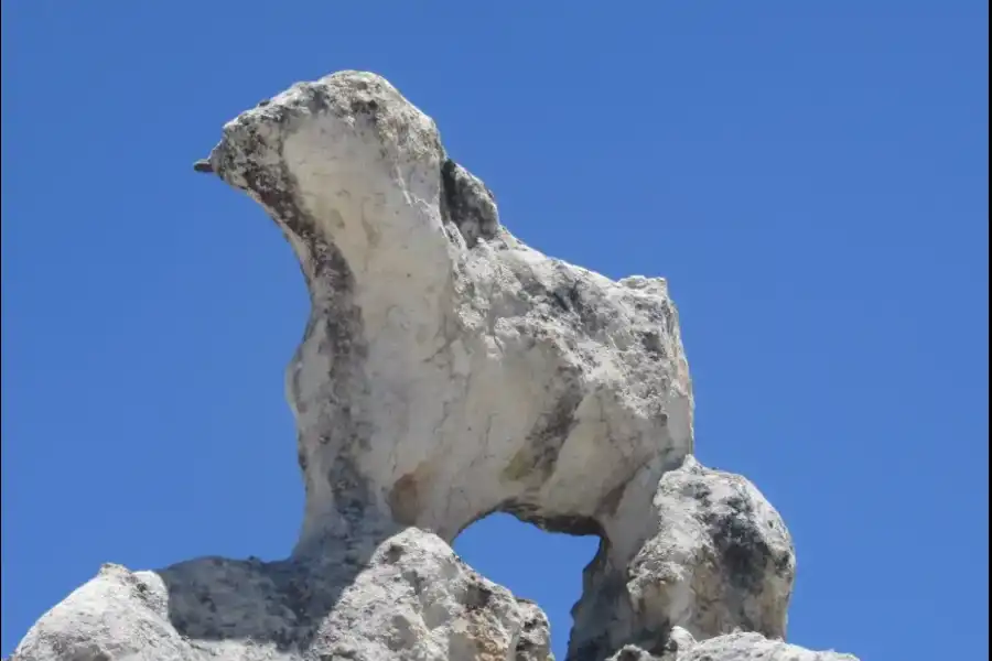 Imagen Bosque De Rocas Gótico De Sillatira (Quelcaya - Corani) - Imagen 16