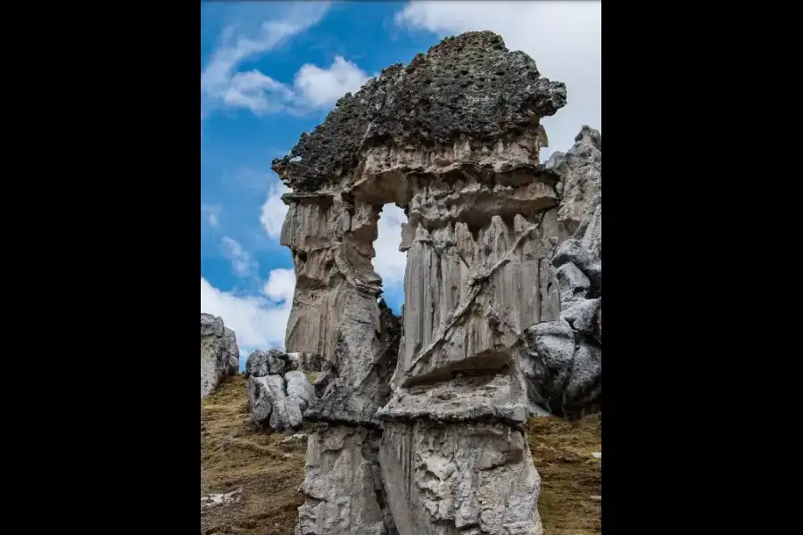 Imagen Bosque De Rocas Gótico De Sillatira (Quelcaya - Corani) - Imagen 17