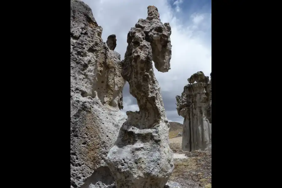 Imagen Bosque De Rocas Gótico De Sillatira (Quelcaya - Corani) - Imagen 5