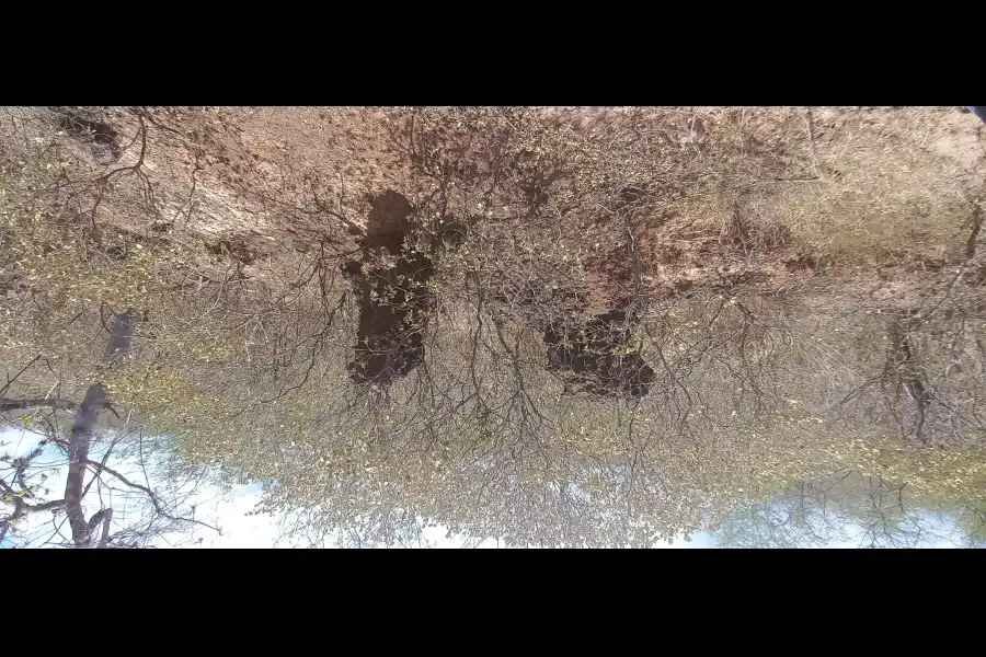 Imagen Sitio Arqueológico Y Paleontológico De Quebrada Seca Alta - Imagen 1