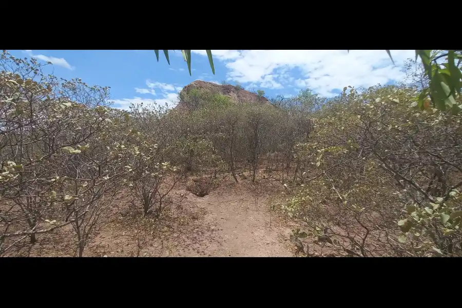 Imagen Sitio Arqueológico Y Paleontológico De Quebrada Seca Alta - Imagen 3