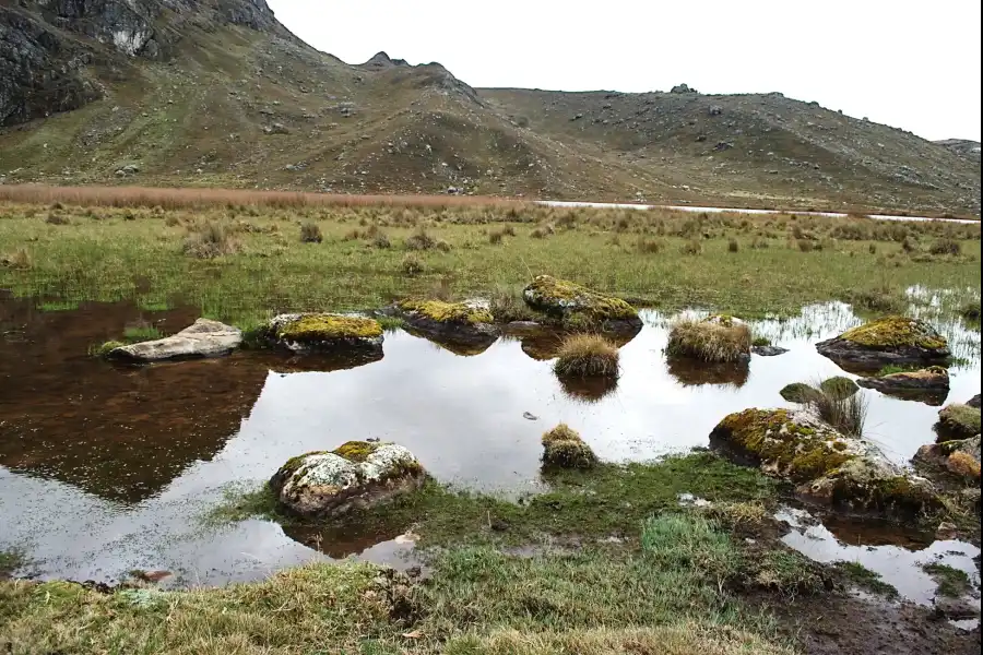 Imagen Laguna Mamancocha Y Raupicocha - Imagen 10