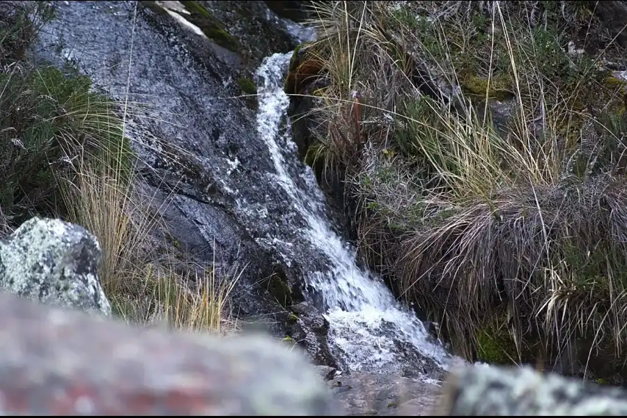 Imagen Laguna Mamancocha Y Raupicocha - Imagen 18