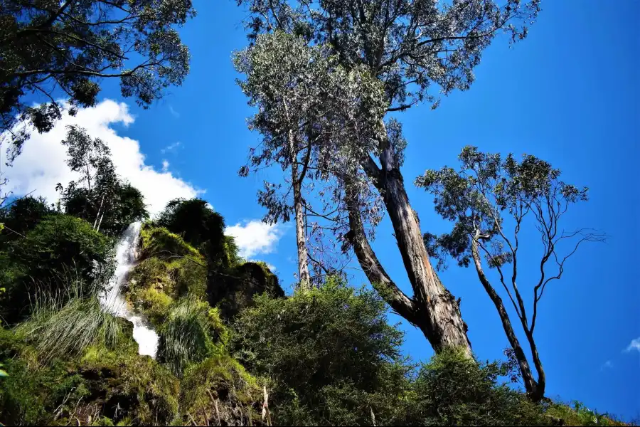 Imagen Catarata De Llaka Cana - Imagen 1