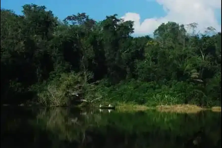 Imagen Parque Nacional Del Manu - Imagen 3