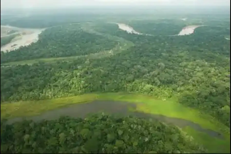 Imagen Parque Nacional Del Manu - Imagen 4