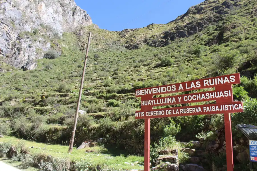 Imagen Mirador De Huallugina De Vitis - Imagen 4