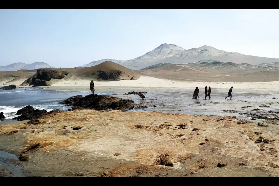 Imagen Playa Los Medanos - Imagen 4